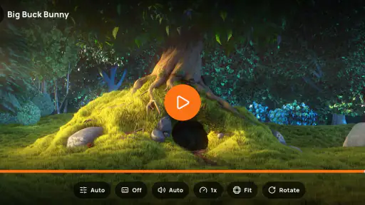 AniPlayer - Video Player screenshot