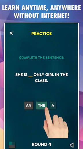 Articles Grammar Test screenshot