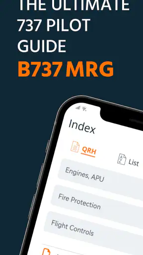 B737 MRG screenshot