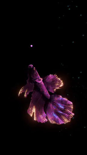 BETTA 120HZ screenshot
