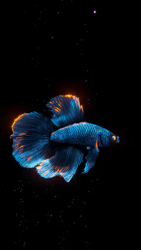BETTA 120HZ screenshot