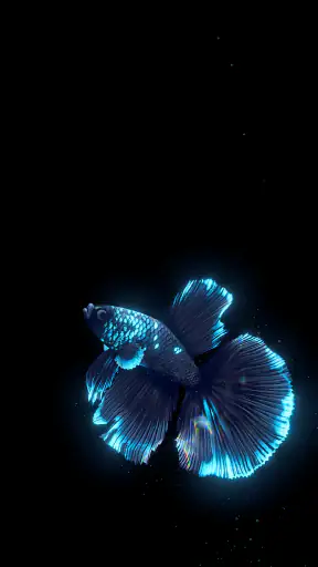 BETTA 120HZ screenshot