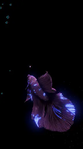 BETTA 120HZ screenshot