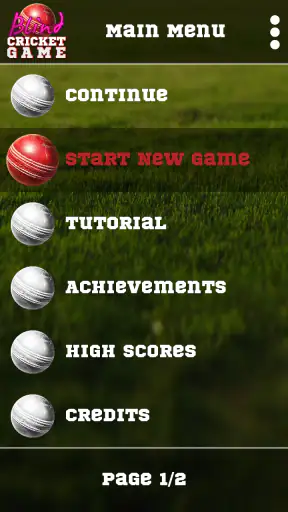 Blind Cricket screenshot