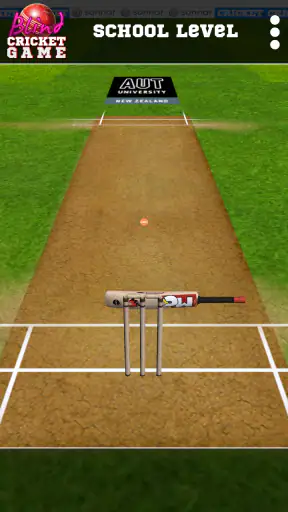 Blind Cricket screenshot