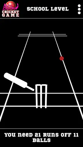 Blind Cricket screenshot