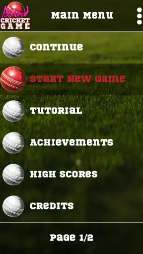 Blind Cricket screenshot