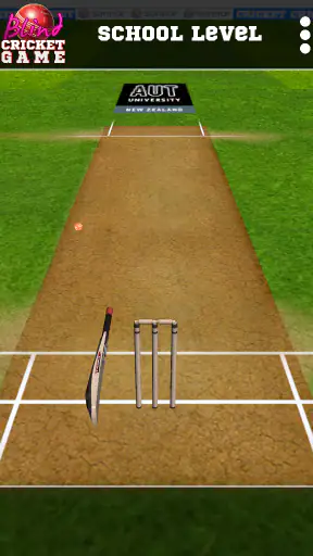 Blind Cricket screenshot