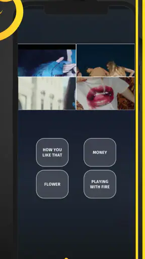 BLINK fandom: BLACKPINK game screenshot