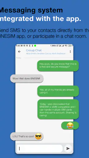 BNESIM: eSIM, Voice, Room, VPN screenshot
