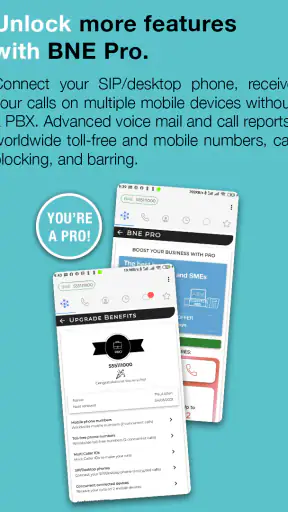 BNESIM: eSIM, Voice, Room, VPN screenshot