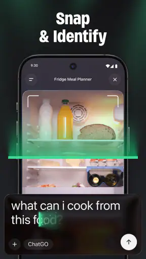 ChatGO - AI Chat Assistant screenshot