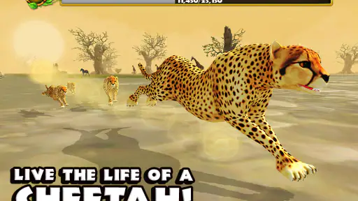 Cheetah Simulator screenshot
