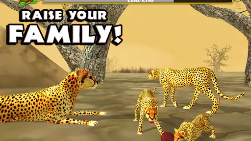 Cheetah Simulator screenshot