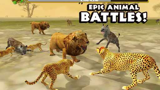 Cheetah Simulator screenshot