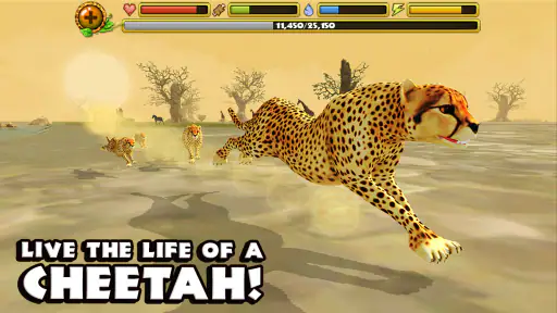 Cheetah Simulator screenshot