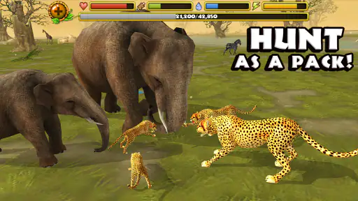 Cheetah Simulator screenshot