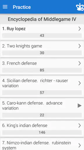 Chess Middlegame IV screenshot