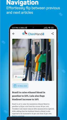 ChiniMandi screenshot