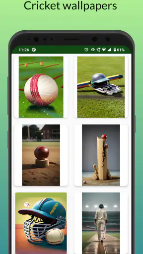 Cricket: Local match scorebook screenshot