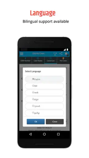 eCourts Services screenshot