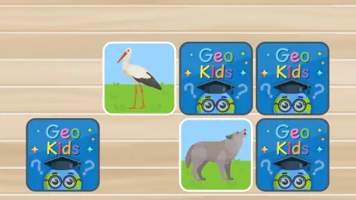 Geo Kids screenshot