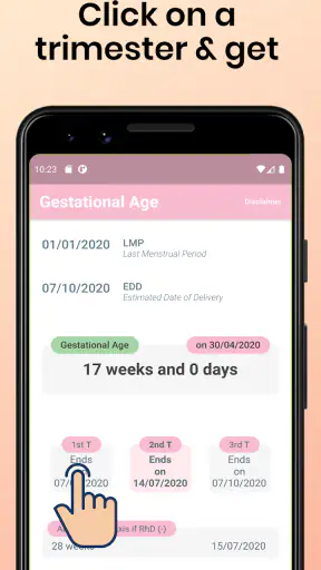 Gestational Age screenshot