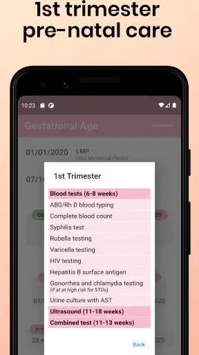 Gestational Age screenshot