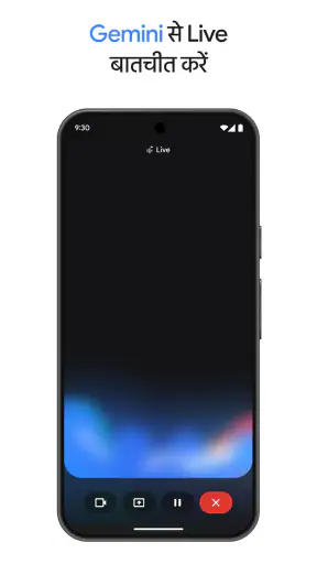 Google Gemini screenshot