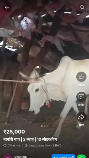 GramMandi, पशु खरीदें और बेचें screenshot