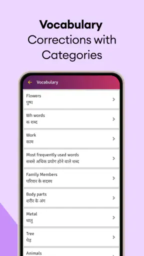 Hindi English Translator screenshot