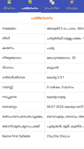 Indian Astrology -PROPHET 2025 screenshot