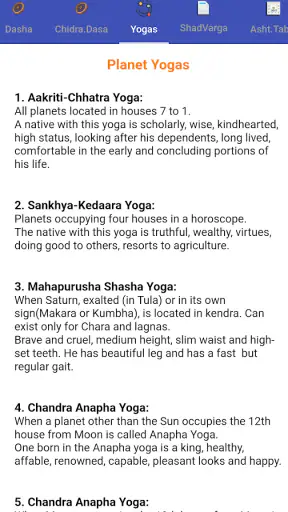 Indian Astrology -PROPHET 2025 screenshot