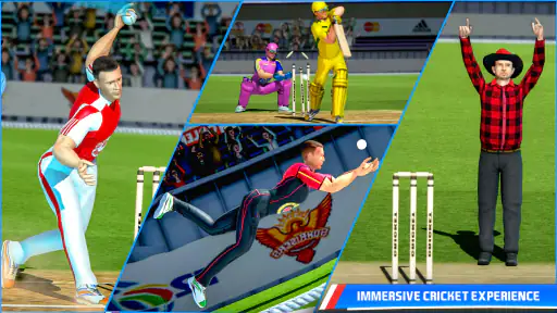 Indian Cricket Premiere League screenshot