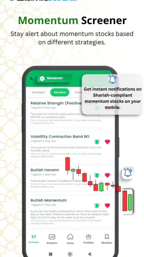 IslamicStock - Screener India screenshot