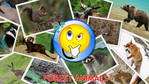 Kids Learn About Animals screenshot