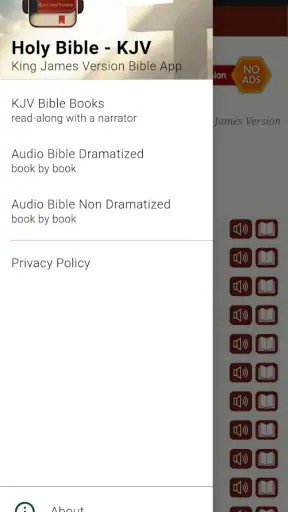 King James Audio - KJV Bible screenshot