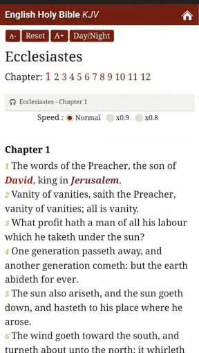 King James Audio - KJV Bible screenshot