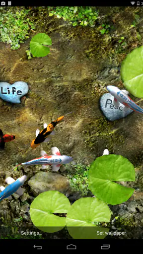 Koi Live Wallpaper screenshot