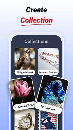 LensIQ - Scanner & Identifier screenshot