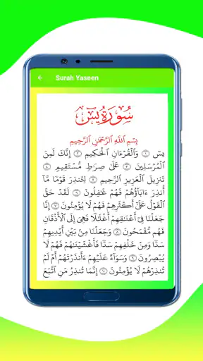 Manqoos Moulid screenshot