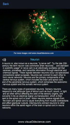 My Brain Anatomy screenshot