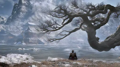 Myth Black Monkey: Return screenshot