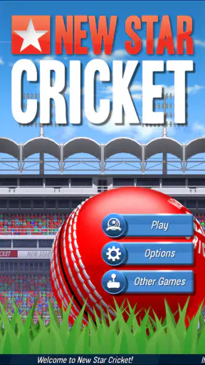 New Star™: Cricket screenshot