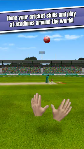 New Star™: Cricket screenshot