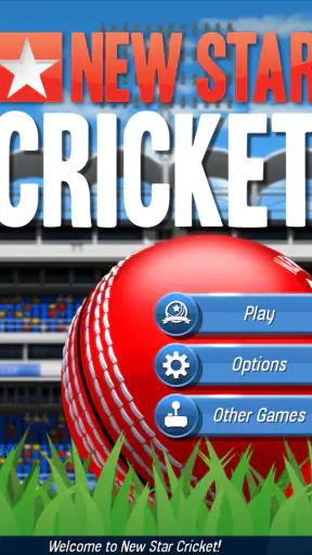 New Star™: Cricket screenshot