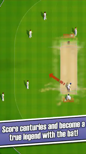 New Star™: Cricket screenshot