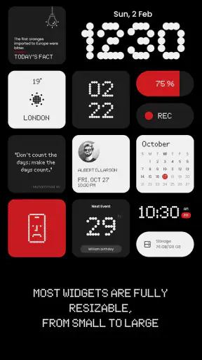 NewThing Widgets Pro screenshot