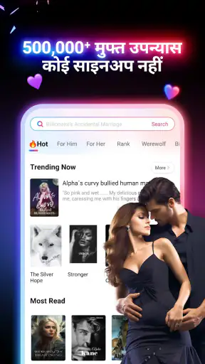 NovelFlow screenshot