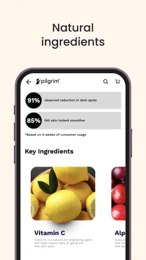 Pilgrim India screenshot